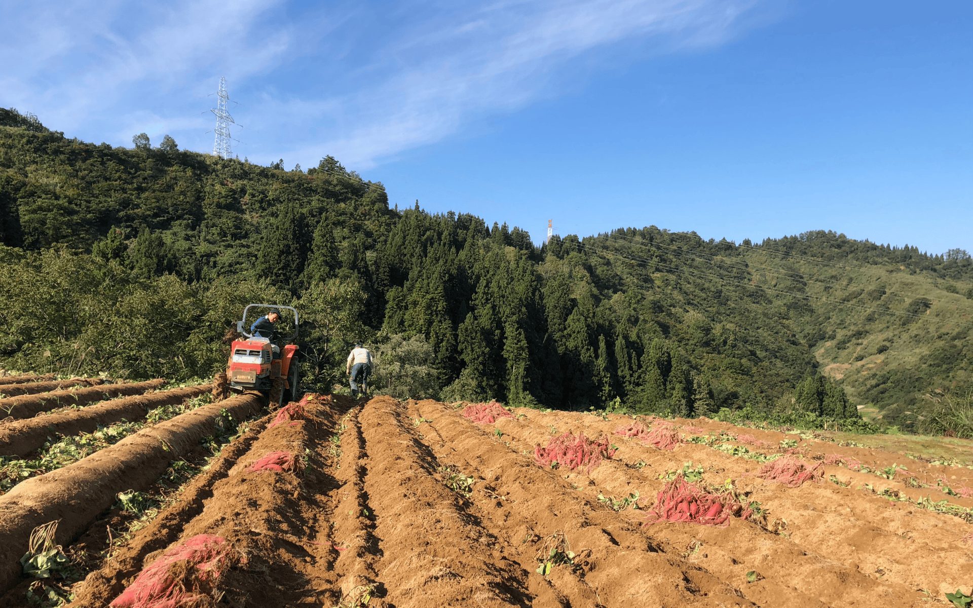 新潟県十日町市