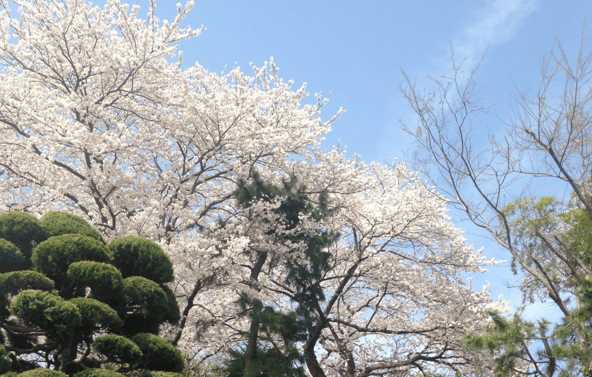 奈良県東吉野村